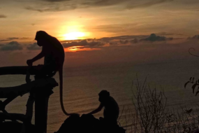 Weeks after Bali reopening, bali tour, bali beach, bali beach sunset