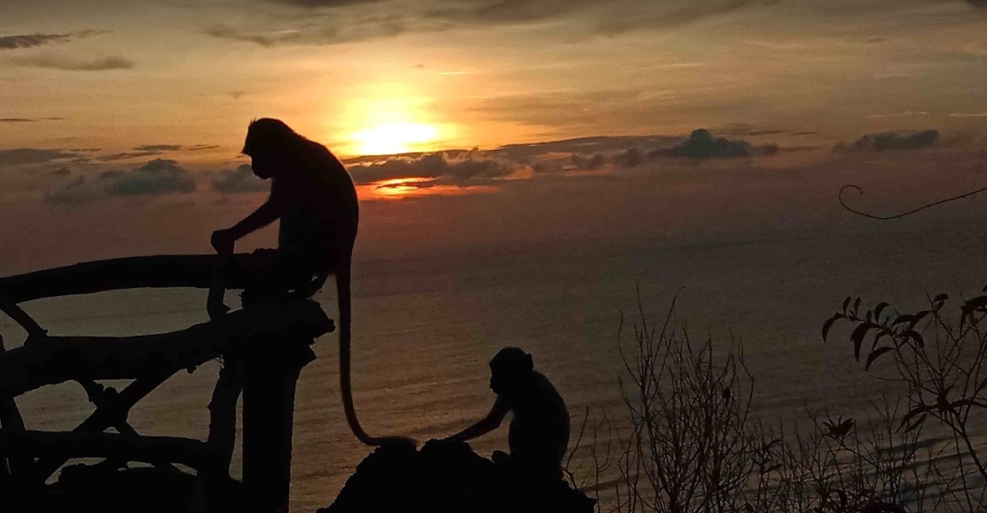 Weeks after Bali reopening, bali tour, bali beach, bali beach sunset