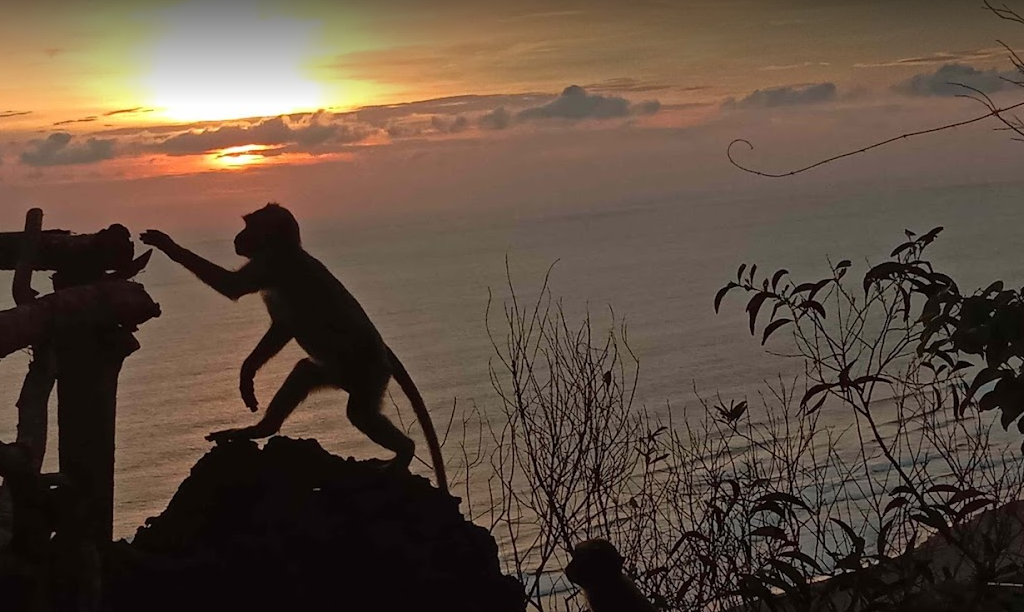 Weeks after Bali reopening, bali opens 