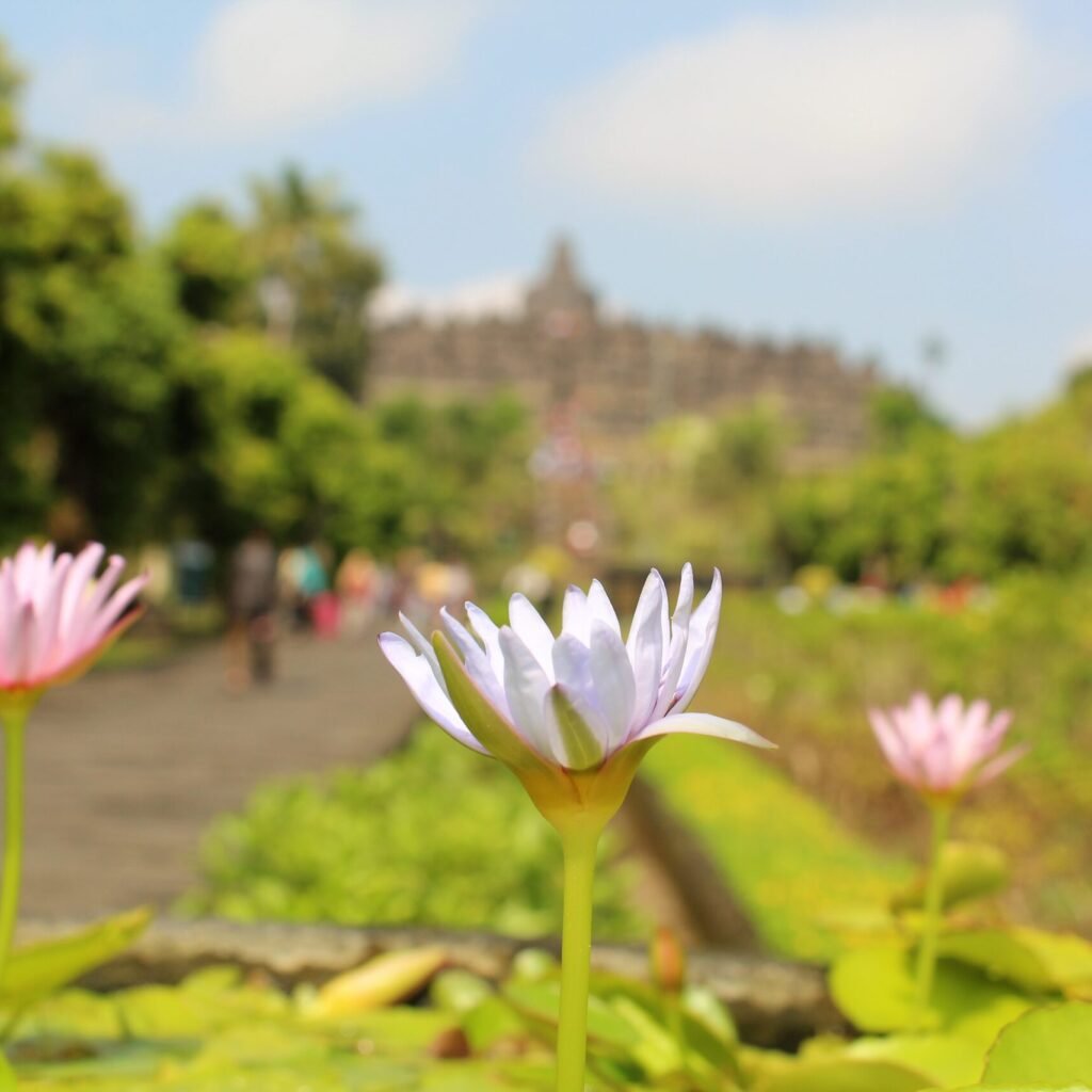 Borobudur Ticket for Kids and Adults