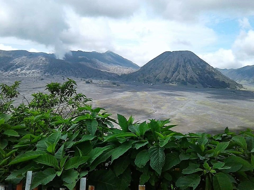 bromo tour