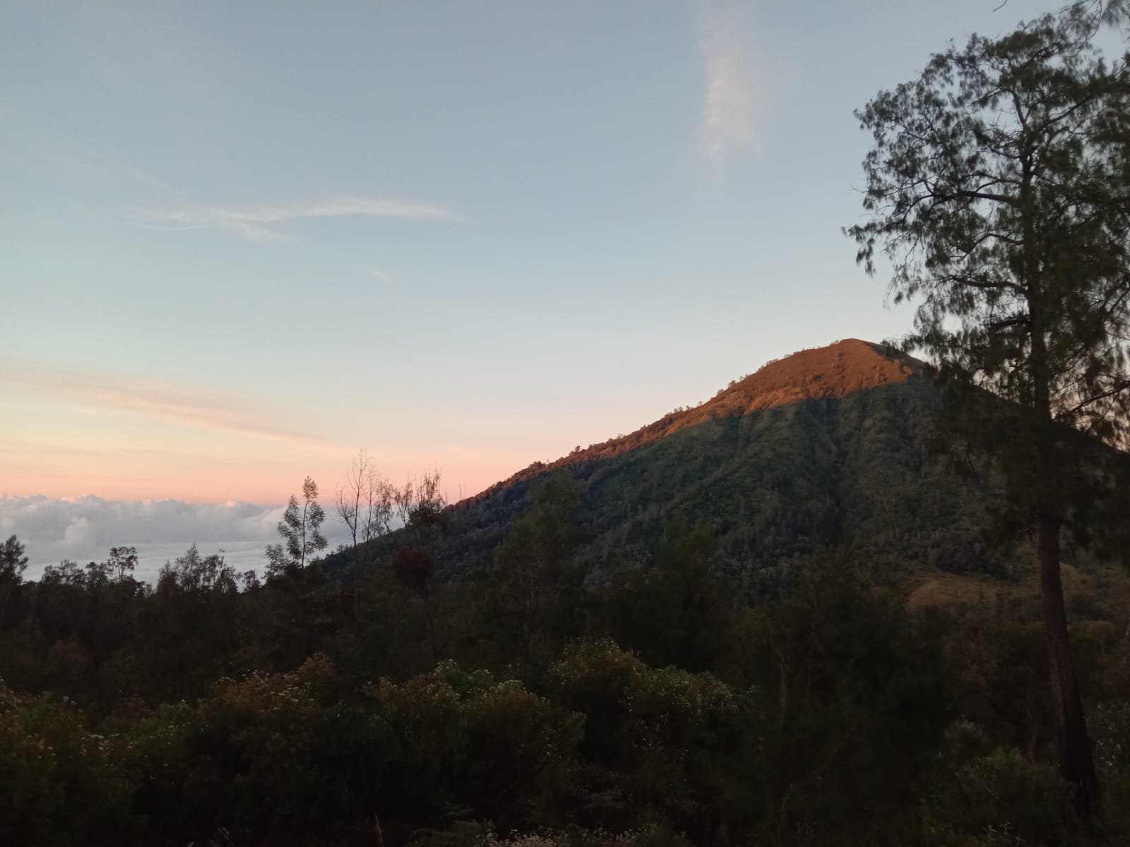 Explore Java island by Train - Image 4