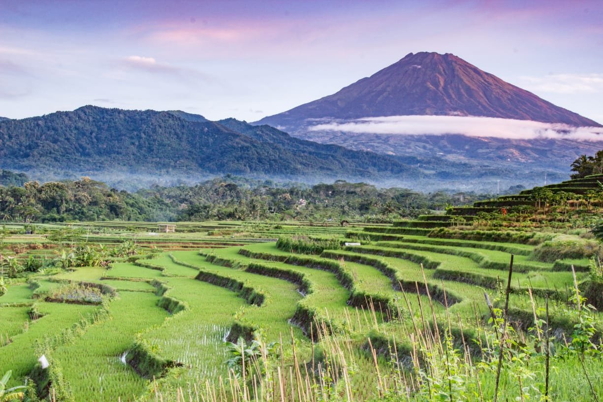 javabalitrips borobudur, javabalitrip borobudur