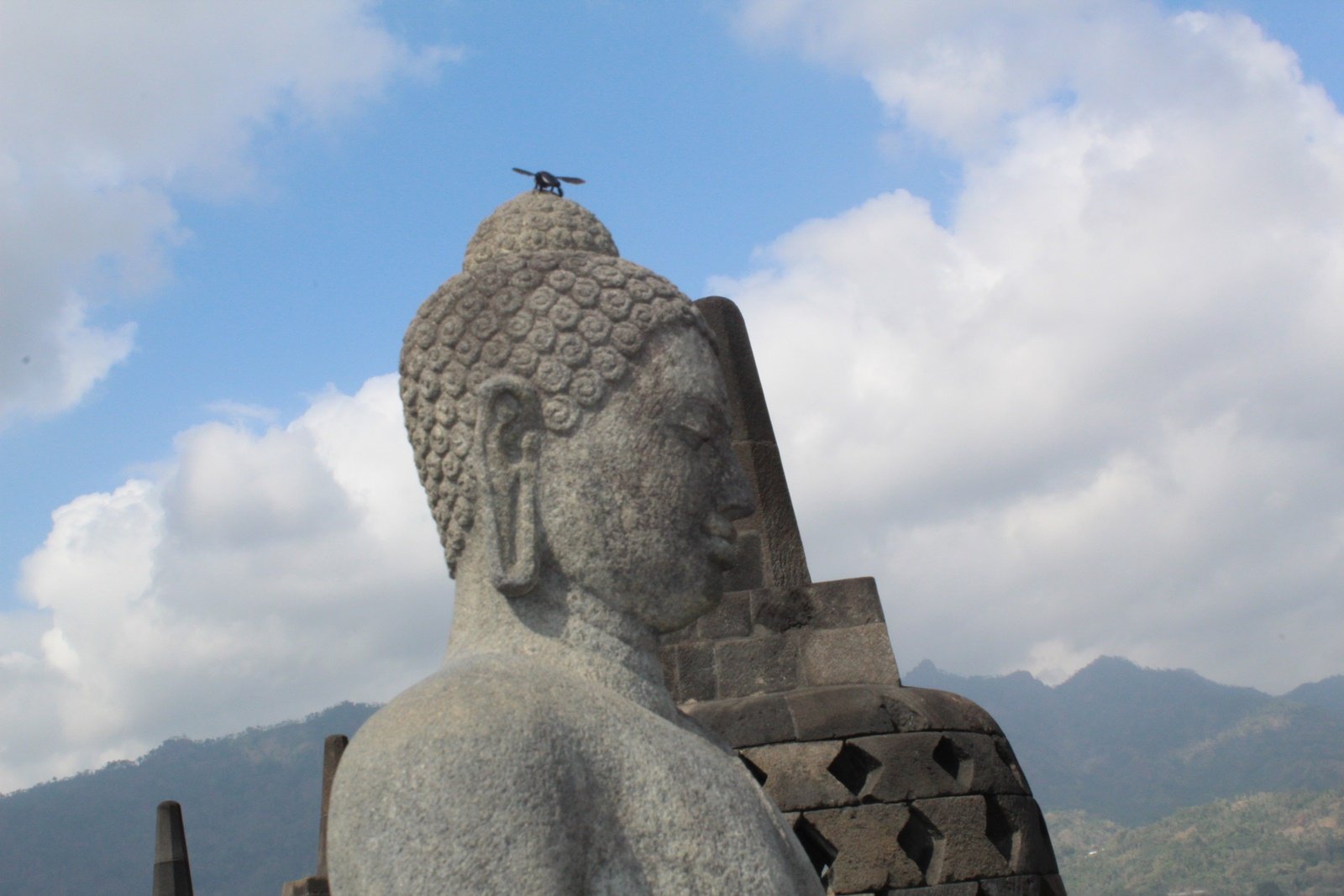 java borobudur, visit java, java tour, java trip