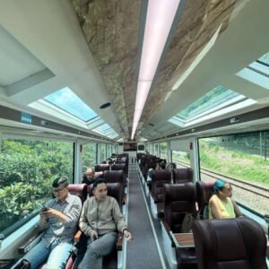 indonesian train, travelling tips to java