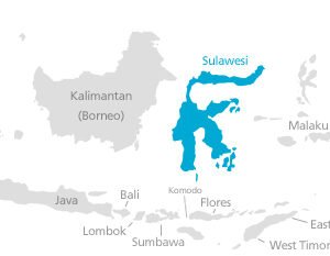 sulawesi tours, celebes tour