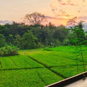 rumah rindu villa, rumah rindu homestay