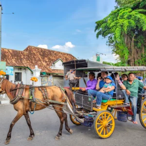 looking for the best tour yogyakarta
