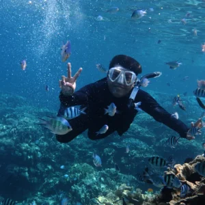 explore the beauty of karimunjawa island, snorkeling tours karimunjawa