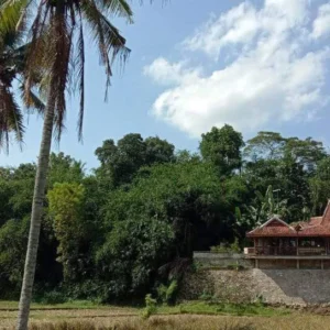 find the affordable unique villa and homestay in yogyakarta village