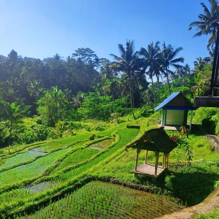 Bali Indonesia travel destination with Java Bali Trip