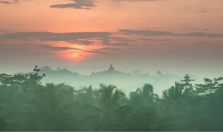 java trip 