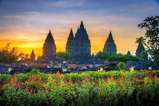 java trip