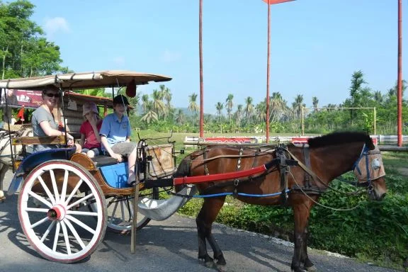 java trip