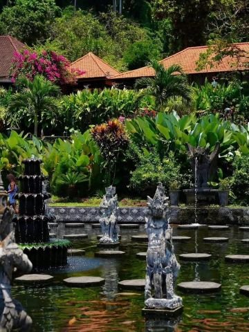 Bali rice terraces in the dry season